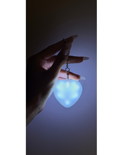 Αξεσουάρ τσάντας-μπρελόκ 