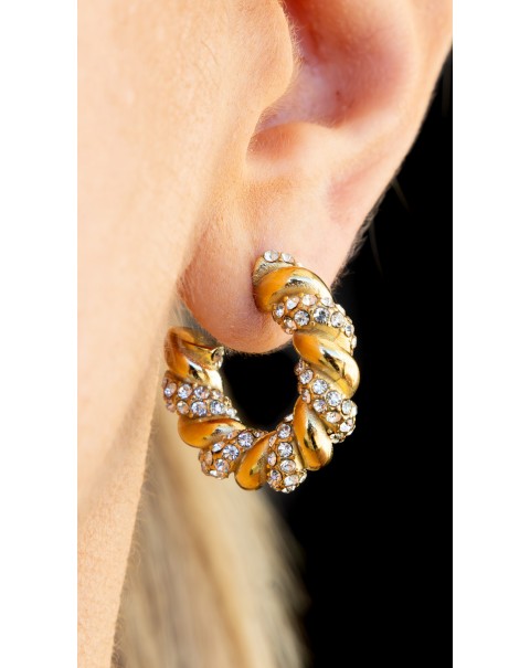 Σκουλαρίκια