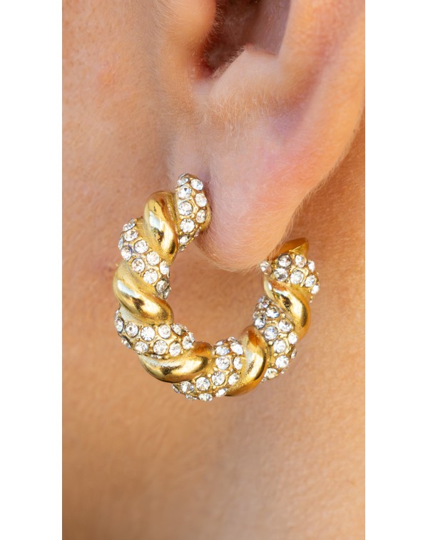 Σκουλαρίκια