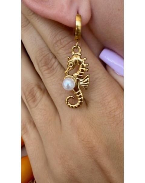 Σκουλαρίκια ιππόκαμπος 