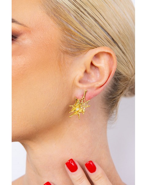 Σκουλαρίκια πεταλούδα σε ιστό αράχνης