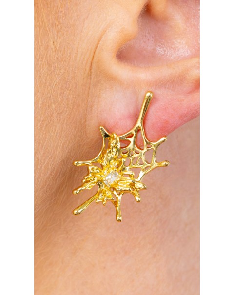 Σκουλαρίκια πεταλούδα σε ιστό αράχνης