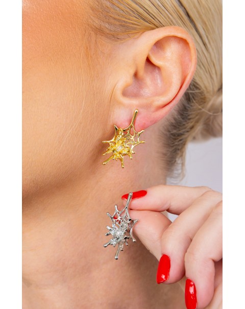 Σκουλαρίκια πεταλούδα σε ιστό αράχνης