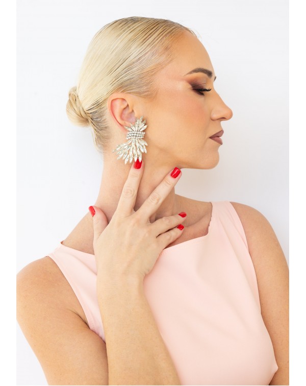 Σκουλαρίκια κλαδιά με κρύσ�...