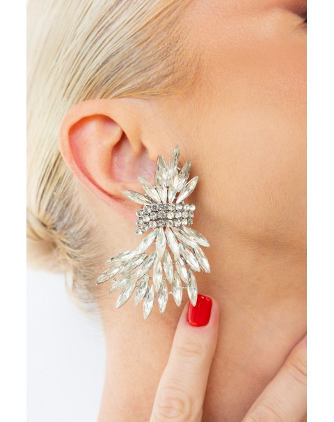 Σκουλαρίκια κλαδιά με κρύσταλλα